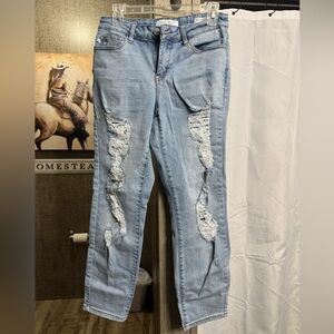 Judy Blue Size 5/27 Boyfriend Fit Jeans